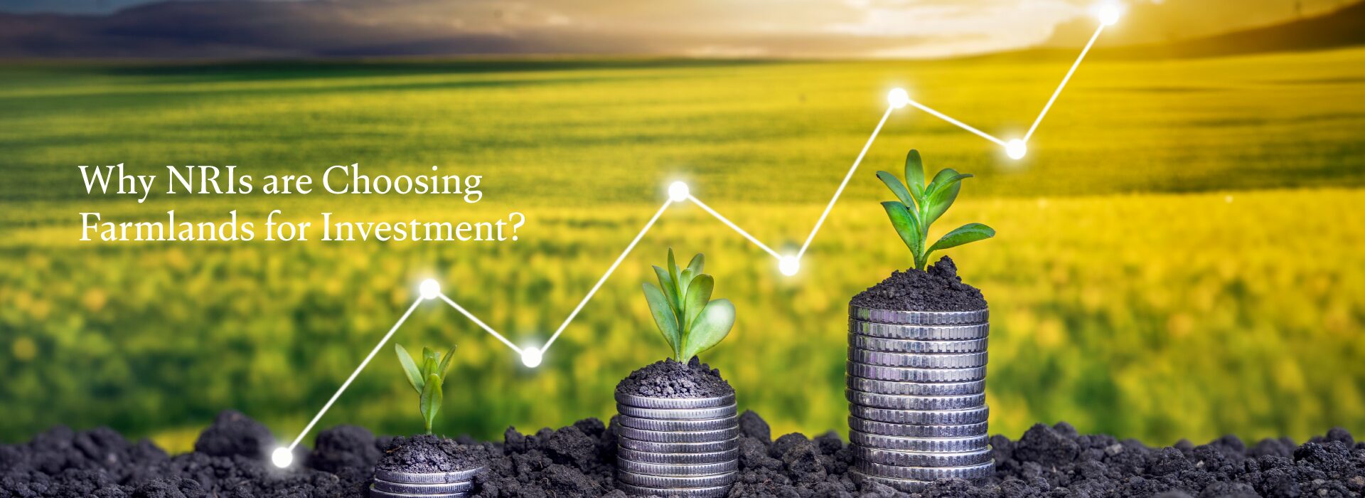 Read more about the article 5 Reasons NRIs Are Investing in Farmlands Around Hyderabad in 2026