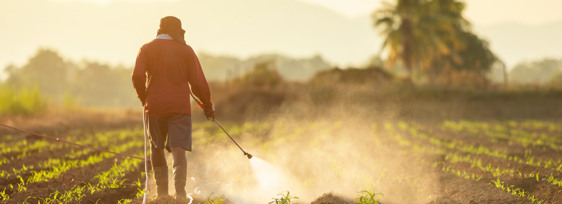 Read more about the article Farm-as-a-Service: How Busy Professionals Own Farmland Without Farming It