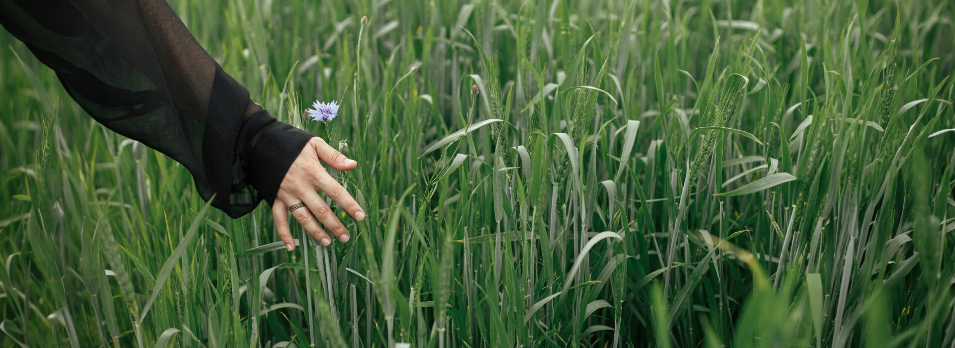 Read more about the article A Weekend at Vaayu: What a Typical Farm Visit Actually Looks Like