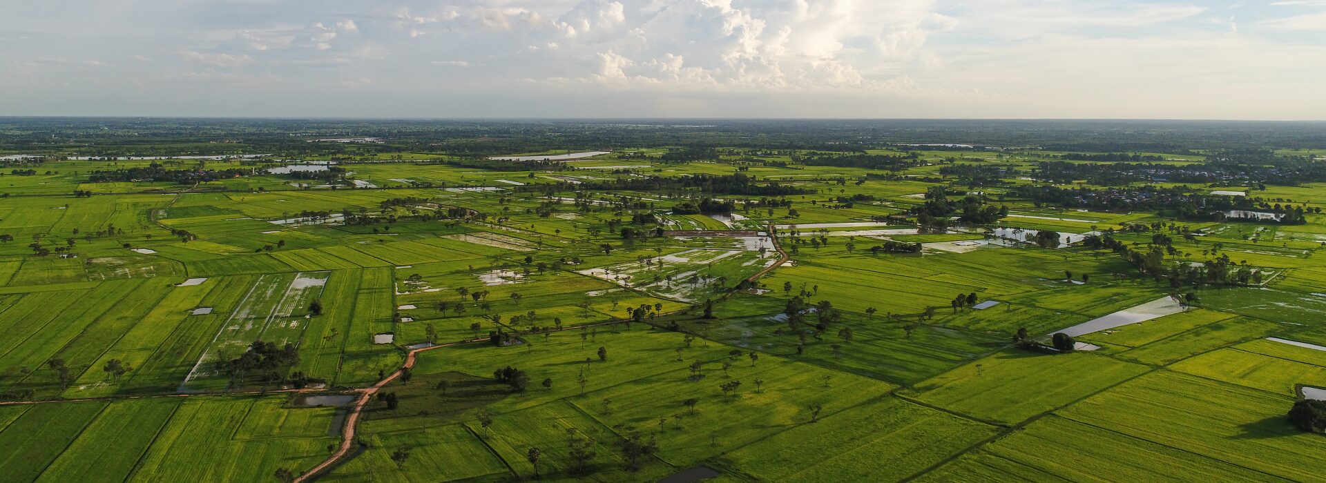 Read more about the article How Premium Farmland Communities in Hyderabad Offer More Than Returns