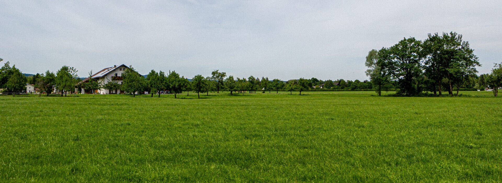 Read more about the article Can Lifestyle Farmlands in Hyderabad Become a Generational Wealth Asset?
