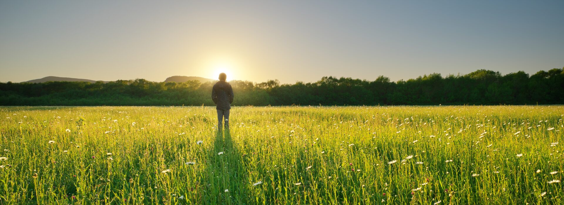 Read more about the article Why Vaayu Is Redefining Premium Farmland Living Near Hyderabad